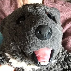 Meet your Posher, Fiona